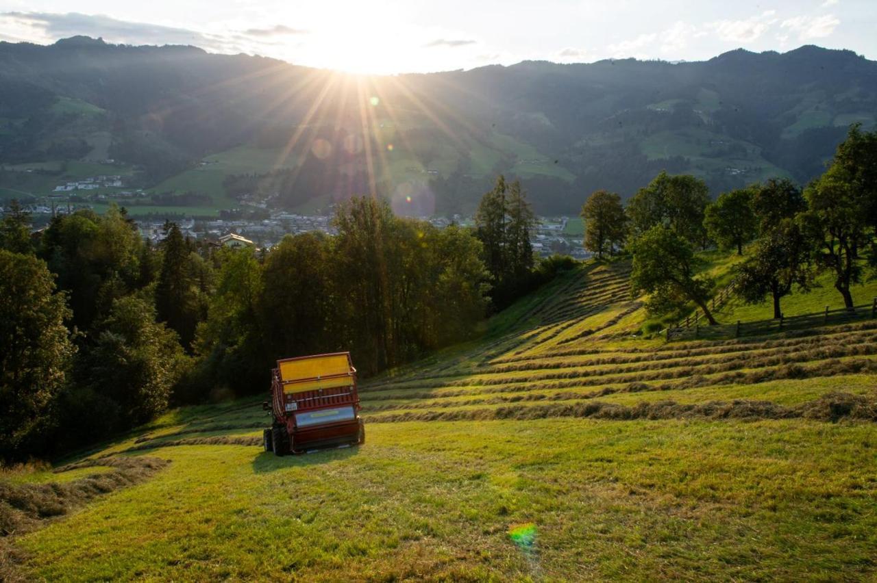 Appartements Lehenhof Sankt Johann im Pongau Ngoại thất bức ảnh