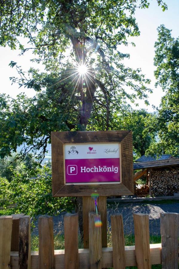 Appartements Lehenhof Sankt Johann im Pongau Ngoại thất bức ảnh